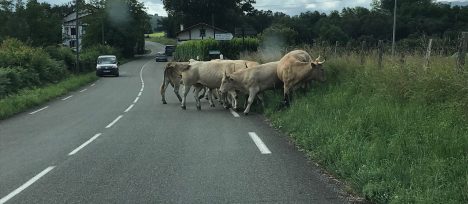 jany-coaching-consulting-crisis-recovery-2