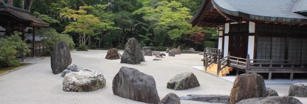 jany-coaching-consulting-homepage-executive-coaching