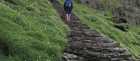 jany-coaching-consulting-strategy-performance